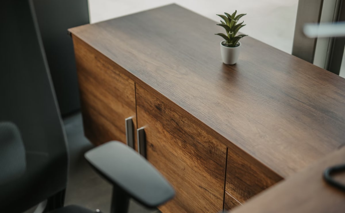Minimalist wooden office cabinet with sleek handles, paired with a modern black office chair and a small potted plant.